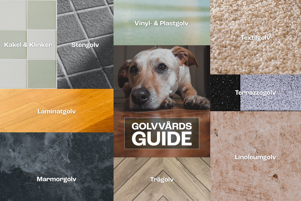 Golvvårdsguide